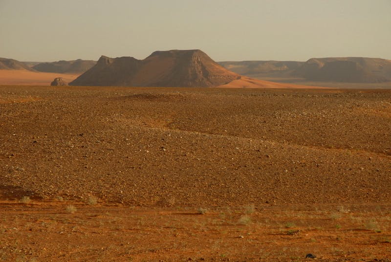 Red Sea, Arabian Deserts & Salt Marshes (PA26) | One Earth